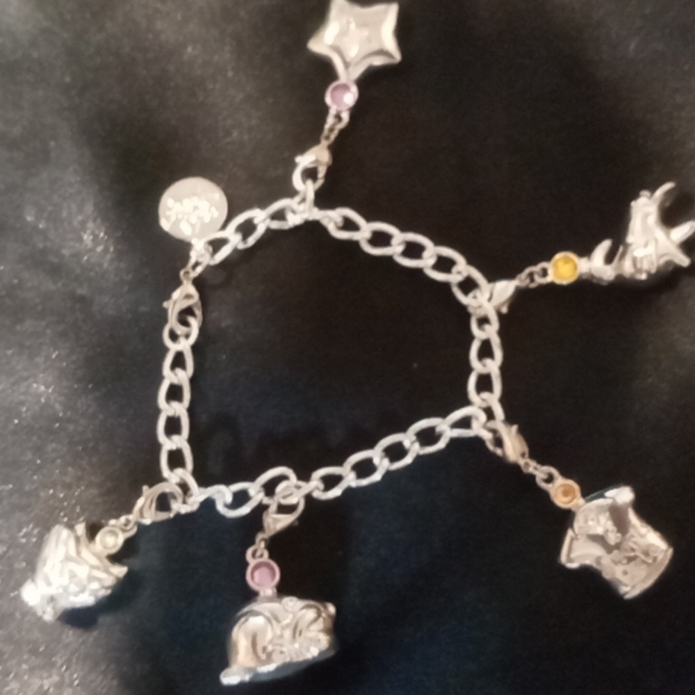 Charm it bracelet 5 cat & dog charms on stainless circle links bracelet